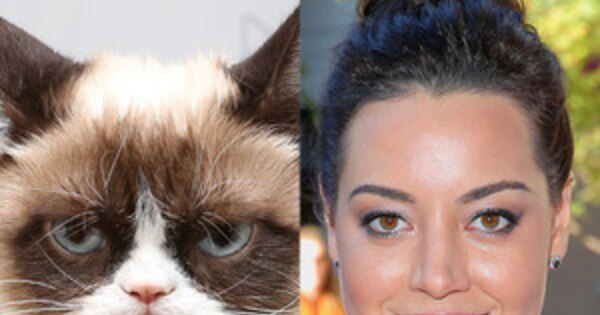 plaza to voice grumpy cat in lifetime tv movie grumpy cat christmas full movie